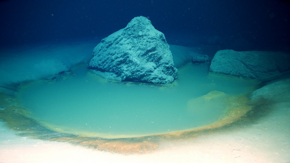 Các vũng nước cực mặn tồn tại dưới đáy biển có thể đem lại nhiều kiến thức mới cho con người