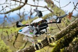 Thiết bị SNAG giúp các drone có thể mô phỏng việc bay và đậu của loài chim (ảnh minh họa)