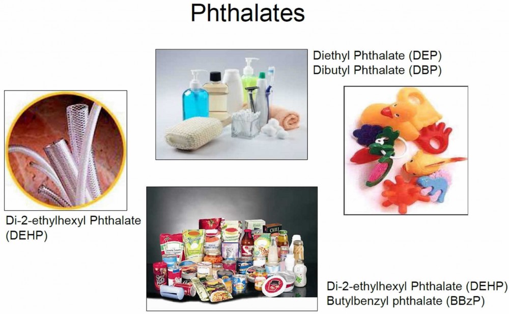 Phthalates gây ra ảnh hưởng đến cơ chế hormone của nam giới(ảnh minh họa).