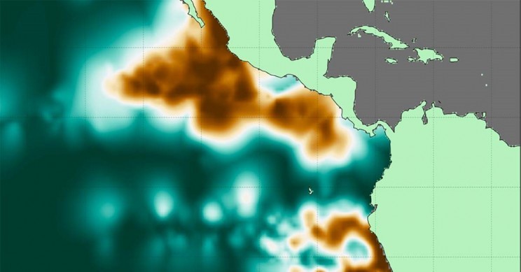 Nồng độ Oxi trong đại dương (ảnh minh họa).