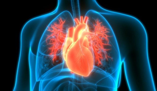 máy tạo nhịp tim theo hệ hô hấp