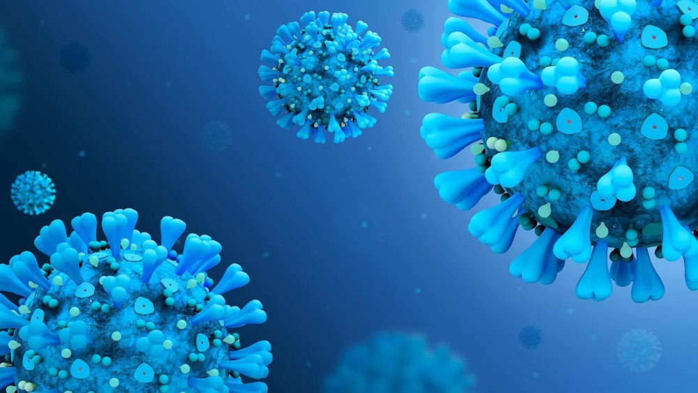 Khoảng 5500 loại virus mới đã được phát hiện khắp các đại dương