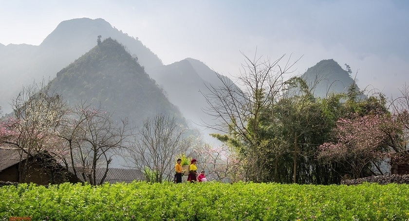 Tiết lập xuân 2021