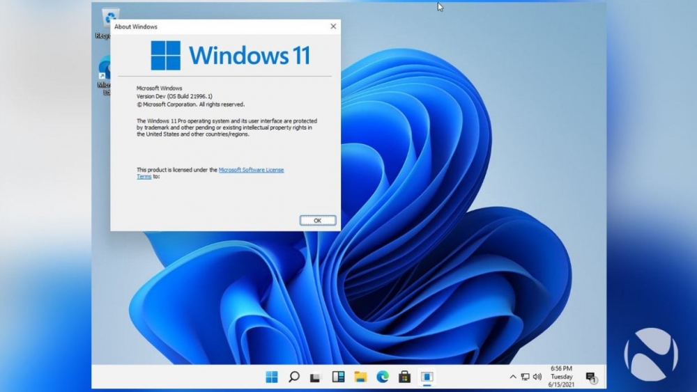Bypass TMP 2.0 Windows 11