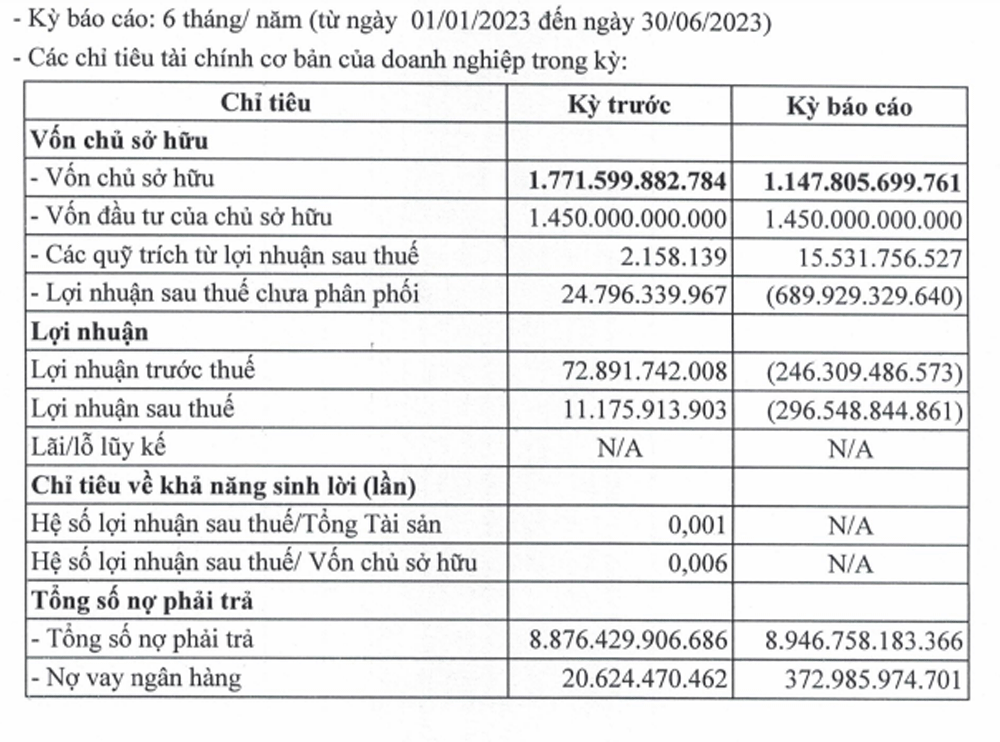 Vinahud và vòng luân chuyển khối nợ nghìn tỷ: Những thương vụ M&A lòng vòng và thách thức trả nợ