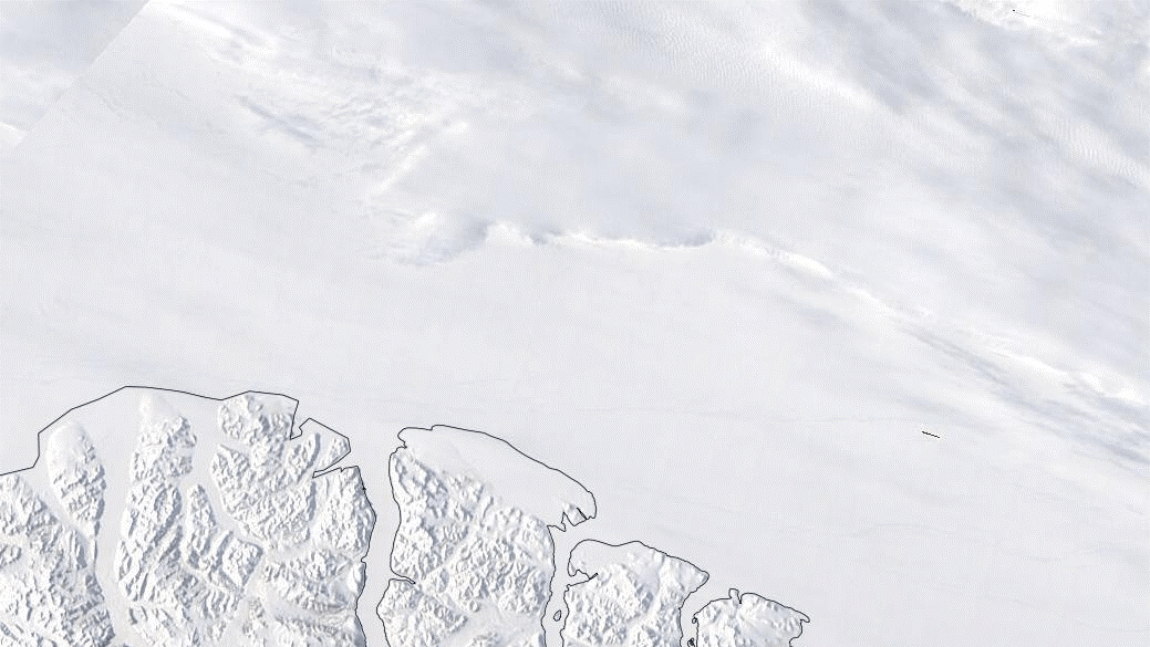Một polynya (khu vực nước bao quanh bởi băng biển) mọc ở Vùng băng cuối phía trên Đảo Ellesmere của Canada. (ảnh: NASA EOSDIS Worldview).